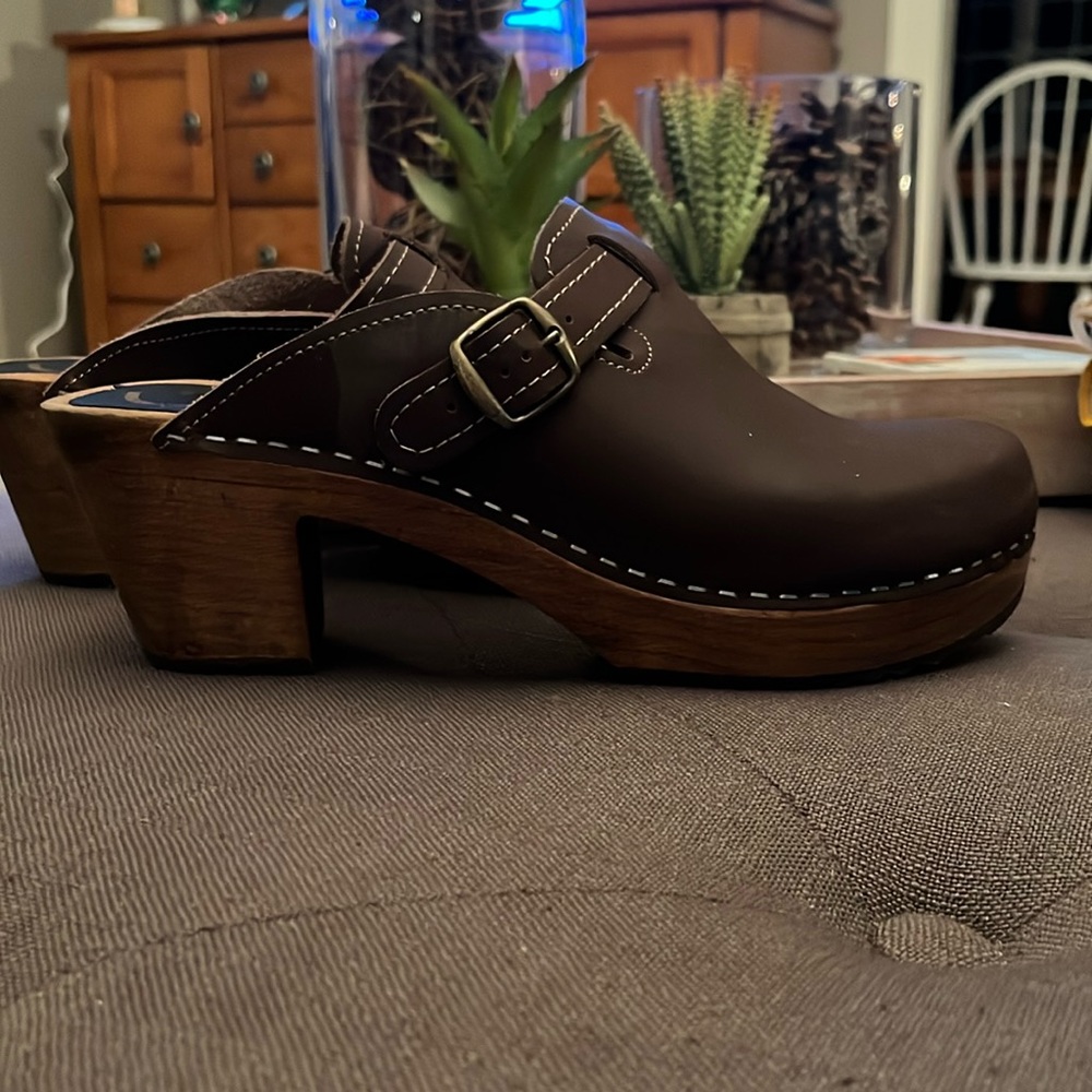 Women’s Brown Leather Clog Mule with Wood Heel